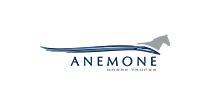 Anemone logo